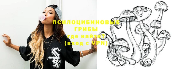 прущая мука Абаза