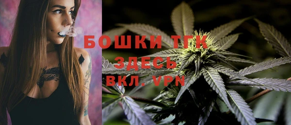 твердый Няндома